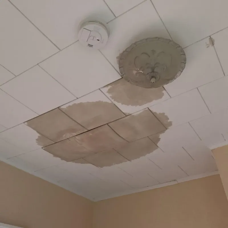 Ceiling Water Damage Repair in Angier, NC