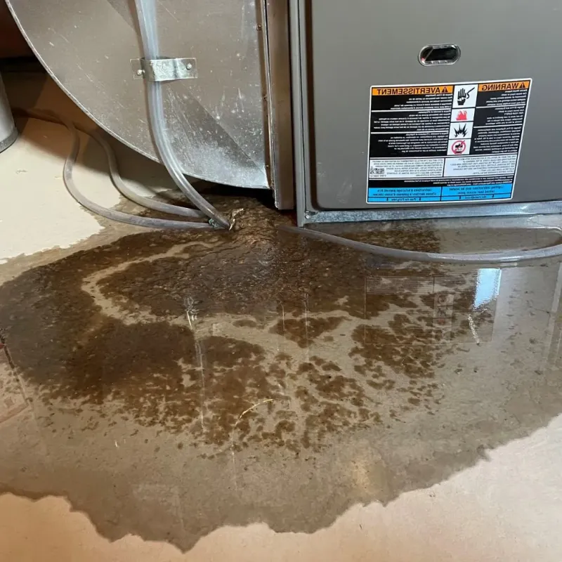 Pipe Burst and Leak Restoration in Angier, NC