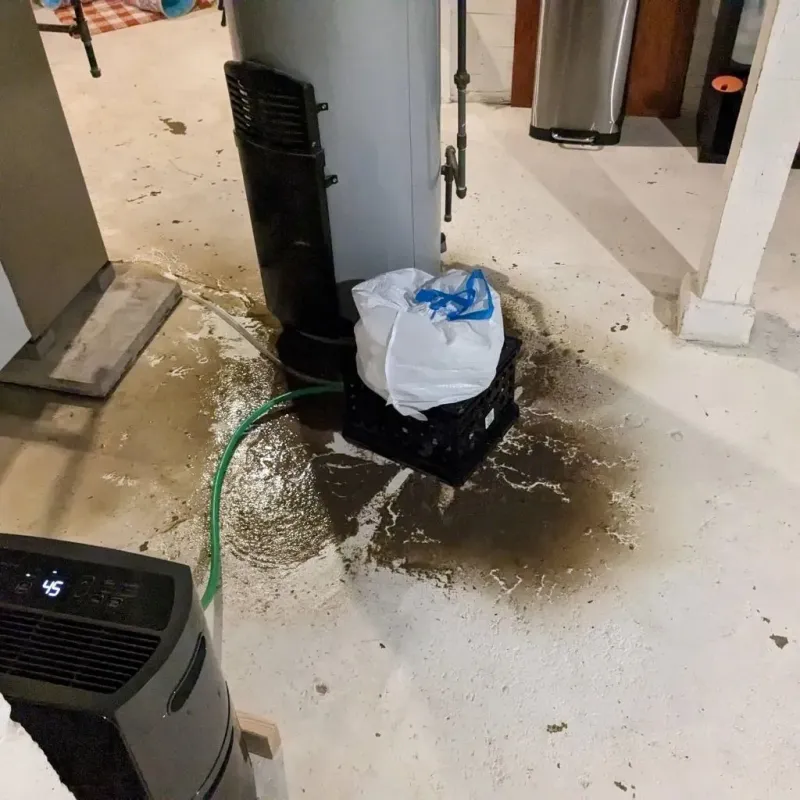 Sewage Backup Cleanup Service in Angier, NC